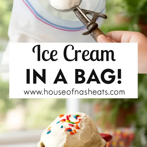 Homemade Ice Cream in a Bag