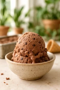 Easy Chocolate Chocolate Chip Ice Cream