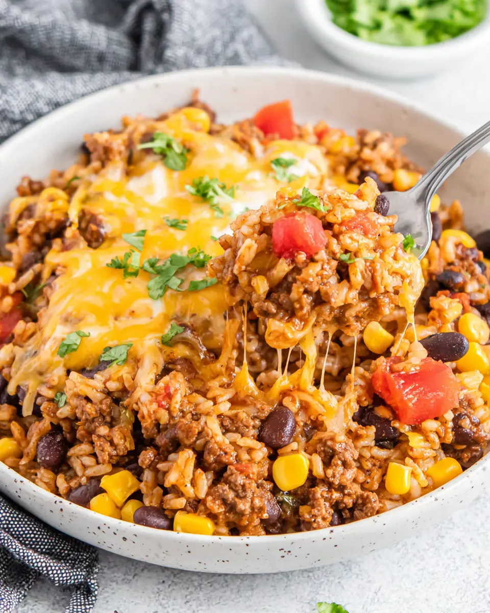 Beef Rice Burrito Bowl close up